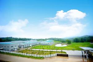 绿达山茶油厂房展示